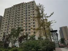 中间楼层 全天采光 随时看房