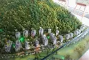 溪山温泉·尚品墅实景图