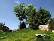 碧桂园城市花园,三室两厅一厨一卫,精装修领包入住