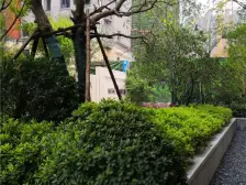 房东 青山湖公园旁 精装大四房 花园洋房 送车位