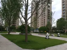 郑州碧桂园湖光山色 3室2厅 南 北