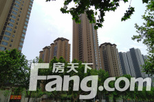 省级物业 纯人车分流 园林绿化高 诚心卖