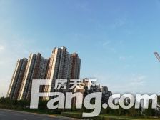 鸿顺官邸 楼层好 房东诚心卖 看房方便 随时看房