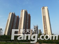 毛坯房没有车位储藏室 中间楼层 可贷款 全明户型