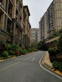 经典天成花园洋房1楼内部自带电梯实用4层使用面积