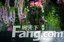 小区中间位置,户型方正,三卫,南向次卧带独立卫生