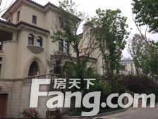 溪岸艺墅5室3厅南北