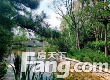 新上邦成宫园墅房源 景观房 看赛罕塔拉