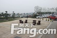 泰鑫东望府 3室2厅 南