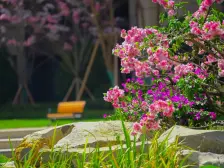 新小区 横厅4房 住家安静 随时看房