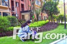 誉府仕家 2室1厅 南