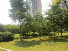 采光好,一线江景一览全无,居住舒适,近地铁,生..