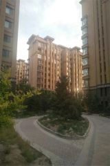 东方维也纳 顶楼复式 精装修 洋房 房本满二