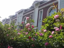 蓝天商务花园 联排别墅 280平 露台 院子 地下室 车库