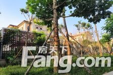 瑞马名门 3室1厅 南