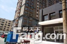 九巨龙红星7号 3室2厅 南