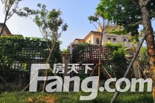 瑞马意墅3室2厅南