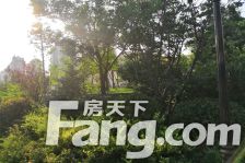 瑞马意墅5室3厅南