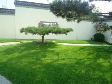 别墅社区 下叠 带南北院 上下两层