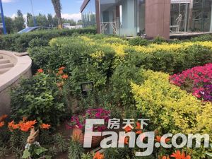 此房楼层好,采光充足,视野开阔,交通便利,配套齐全