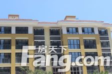 仁诚雅居 2室1厅 南