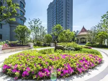 金色中环次新大平层,梦幻清水大四房,人车分流,边套全明