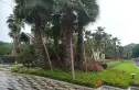 创基天峰实景图