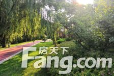 瑞马意墅5室2厅南