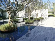 龙兴 龙湖长滩原麓望麓五房209万