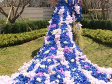 联排东边户 位置好 院落布局好 上下三层 60万装修