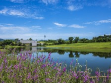 龙兴 恒大云湖上郡御龙台一组团(6.2)四房80万