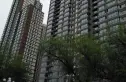 大唐天下江山实景图