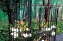 万科璞悦里实景图