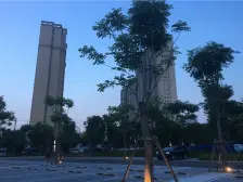 杨岔路商圈 环球港 城东公园 月星国际城