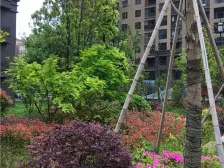 奥克斯缔壹城 1室1厅 东南