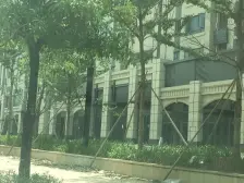 绿地商业广场 3室2厅 北