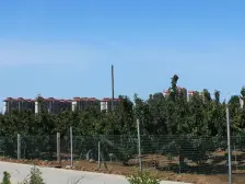 悦岛蓝湾 3室2厅 南 北