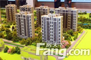 嘉善北部新城的新小区,楼间距大,得房率高,绿化好