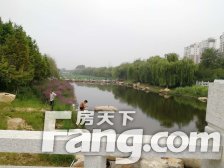 大华上海滩花园 1室0厅 西