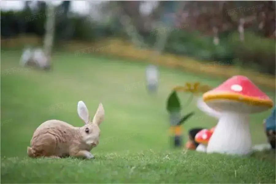 房源图片