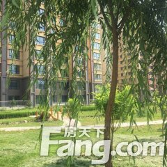 北国风光天建城 2室2厅 南 北