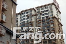 九巨龙红星7号3室1厅南