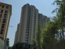 小区人车分流,环境优美,户型方正,视野开阔