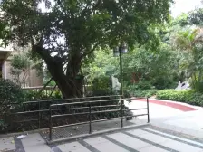 满五不唯一,无户口,有贷款,价格合适,随时可签