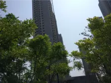 精装温馨小三房 诚意出售 中间楼层