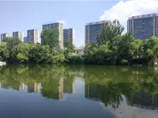 一梯一户大两房,南北通透,诚心出售