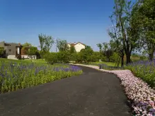 恒大云湖上郡御龙台3组团7.2期 1室1厅 南 西南 东南