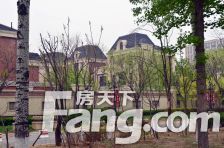 金地中央世家 2室1厅 南 西北