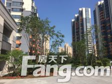 明厅,精装,位置好,采光好,视野开阔