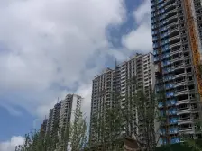 威海恒大海上帝景 2室1厅 南 北